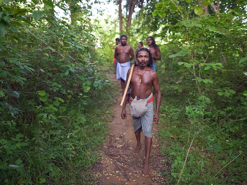Sri Lanka"s forest-dwelling Veddas - the first inhabitants of this island and the last surviving bastion of their ancient way of life - have largely transitioned to village life
Image: Shutterstock Sri Lanka"s forest-dwelling Veddas - the first inhabitants of this island and the last surviving bastion of their ancient way of life - have largely transitioned to village life
Image: Shutterstock