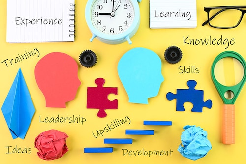 Upskilling focuses on enhancing the current skills of employees, enabling them to perform their existing roles more efficiently and to take on more advanced responsibilities.
Image: Getty Images Upskilling focuses on enhancing the current skills of employees, enabling them to perform their existing roles more efficiently and to take on more advanced responsibilities.
Image: Getty Images