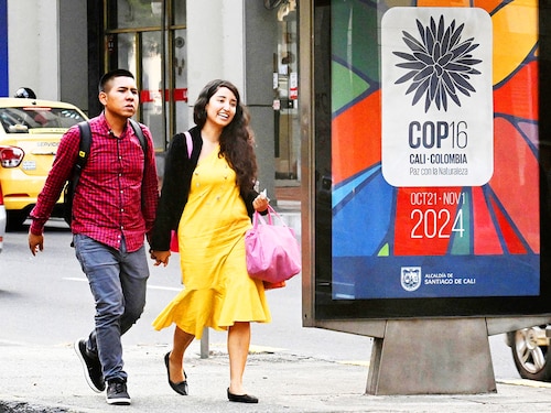 A couple walks next to a sign announcing the COP16 summit in Cali, Valle del Cauca province, Colombia, on July 22, 2024.
Image: Joaquin Sarmiento / AFP© A couple walks next to a sign announcing the COP16 summit in Cali, Valle del Cauca province, Colombia, on July 22, 2024.
Image: Joaquin Sarmiento / AFP©