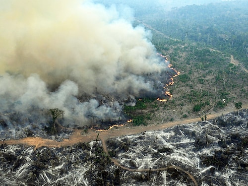 Deforestation, mainly for mining and agricultural purposes, has led to the loss of 12.5 percent of the Amazon"s plant cover from 1985 to 2023, according to RAISG, a collective of researchers and NGOs. Photography EVARISTO SA / AFPÂ©