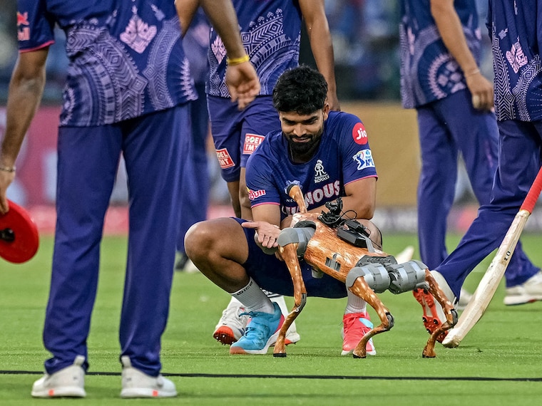 Rajasthan Royals" Kumar Kartikeya plays with the robot dog before the start of the Indian Premier League (IPL) Twenty20 cricket match between Delhi Capitals and Rajasthan Royals at the Arun Jaitley Stadium in New Delhi on April 16, 2025. IPL 2025 now features a robot dog that not only films the players" behind-the-scenes moments from the camera mounted on it but also plays around with the cricketers.