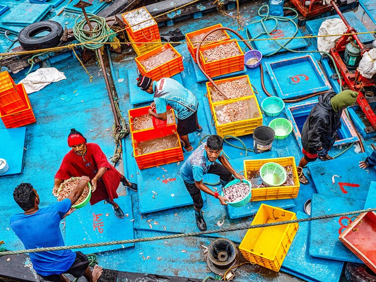 Fishermen offload fresh seafood from a boat early morning at the Sassoon Dock in Mumbai on August 13, 2025. Indian exporters are scrambling for options to mitigate the fallout of US President Donald Trump"s threatened tariff salvo against the world"s most populous nation. The 50 percent levy threatens to upend low-margin, labour-intensive industries ranging from gems and jewellery to textiles and seafood.