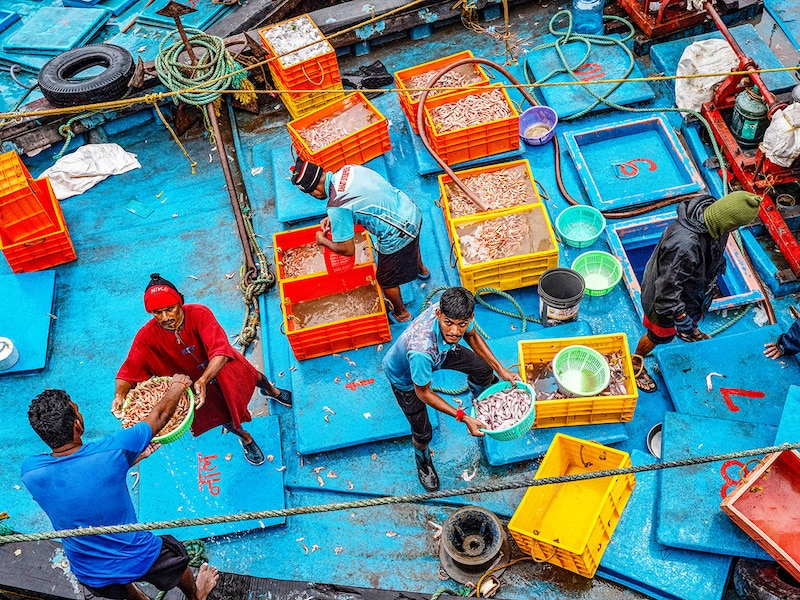 Fishermen offload fresh seafood from a boat early morning at the Sassoon Dock in Mumbai on August 13, 2025. Indian exporters are scrambling for options to mitigate the fallout of US President Donald Trump"s threatened tariff salvo against the world"s most populous nation. The 50 percent levy threatens to upend low-margin, labour-intensive industries ranging from gems and jewellery to textiles and seafood.