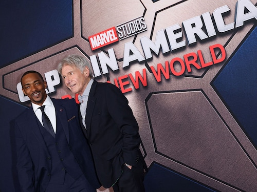 US actors Harrison Ford (R) and Anthony Mackie attend the world premiere of Marvel Studios" "Captain America: Brave New World" at the TCL Chinese theatre in Hollywood, California, February 11, 2025. 
Image: Valerie Macon / AFPÂ©