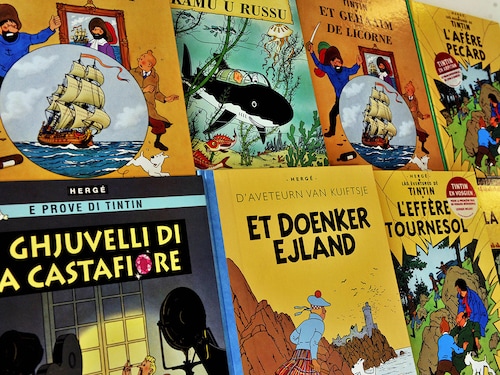 In the US, Tintin entered the public domain. In the US, Tintin entered the public domain. Image: Georges Gobet / AFP© In the US, Tintin entered the public domain. In the US, Tintin entered the public domain. Image: Georges Gobet / AFP©