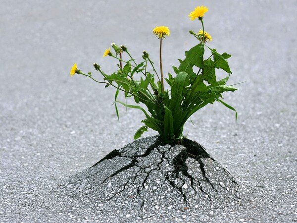 Hope isn"t something you either have or don"t have it"s a learned skill that can be cultivated.
Image: Shutterstock