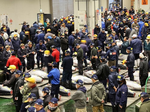 The tuna wholesale area of Toyosu Market, where the first tuna auction of the New Year was held, is seen in Tokyo on January 5, 2025.
Image: STR / Jiji Press / AFP© The tuna wholesale area of Toyosu Market, where the first tuna auction of the New Year was held, is seen in Tokyo on January 5, 2025.
Image: STR / Jiji Press / AFP©