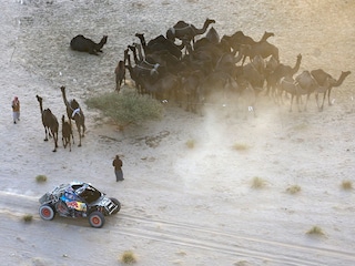 Spanish driver Carlos Sainz drives by Arabian camels during Stage 2B of the 47th Dakar Rally between Bisha and Bisha, on January 6, 2025.
Image: Valery Hache / AFP©