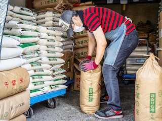A member of staff works as bags of rice are seen piled up at a rice store in Tokyo on July 9, 2025. While US President Donald Trump imposed a 10 percent tariff on most US trading partners in April, the rate is set to rise for dozens of economies including the European Union and Japan come July 9. Image: Yuichi Yamazaki / AFP