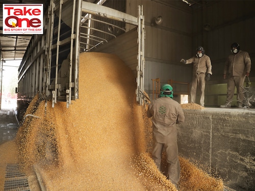 US grown soya bean and corn could come from batches that had genetically modified crops, something Indian consumers are uncomfortable with.
Image : Raquel Cunha / Reuters US grown soya bean and corn could come from batches that had genetically modified crops, something Indian consumers are uncomfortable with.
Image : Raquel Cunha / Reuters