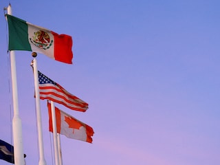 Sweeping duties, particularly on Canada and Mexico, are set to snarl supply chains for key sectors like automobiles and construction materials, risking cost increases to households.
Image: Jose Luis Gonzalez/ Reuters