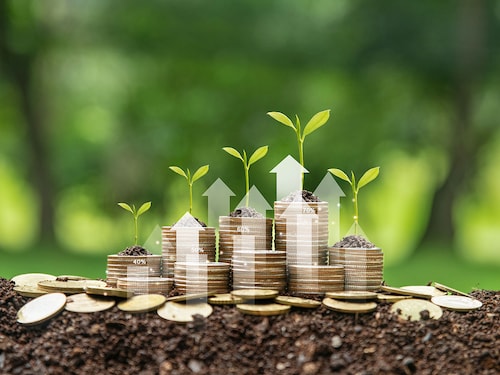 Carbon markets allow companies to offset emissions by purchasing carbon credits, incentivising GHG reduction projects.
Image: Shutterstock