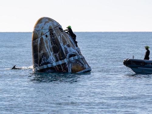 This picture provided by NASA shows support teams working around a SpaceX Dragon spacecraft shortly after it landed with NASA astronauts Nick Hague, Suni Williams, Butch Wilmore, and Roscosmos cosmonaut Aleksandr Gorbunov aboard as dolphins swim around in the water off the coast of Tallahassee, Florida, on March 18, 2025.
Image: Keegan Barber / NASA / AFP This picture provided by NASA shows support teams working around a SpaceX Dragon spacecraft shortly after it landed with NASA astronauts Nick Hague, Suni Williams, Butch Wilmore, and Roscosmos cosmonaut Aleksandr Gorbunov aboard as dolphins swim around in the water off the coast of Tallahassee, Florida, on March 18, 2025.
Image: Keegan Barber / NASA / AFP