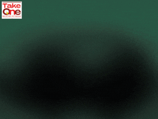 The India VIX has slipped 12.5 percent from the beginning of January and so has the benchmark index, shows a Forbes India analysis.
Illustration: Chaitanya Dinesh Surpur