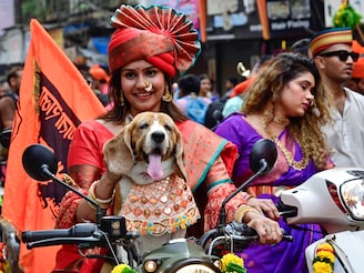A pet dog accompanies a woman in traditional Maharashtrian attire on a drive during Gudi Padwa bike rally at Girgaon, Mumbai on March 30, 2025. Gudi Padwa, a significant festival celebrated in Maharashtra, is observed on the first day of the Hindu lunisolar calendar