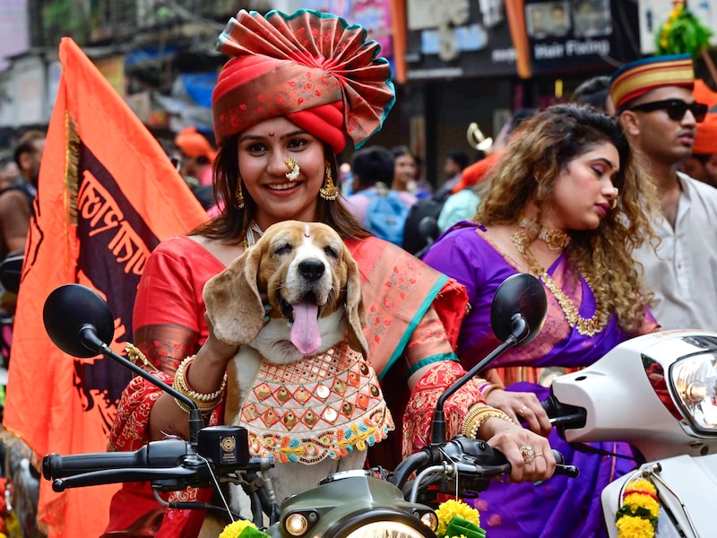 A pet dog accompanies a woman in traditional Maharashtrian attire on a drive during Gudi Padwa bike rally at Girgaon, Mumbai on March 30, 2025. Gudi Padwa, a significant festival celebrated in Maharashtra, is observed on the first day of the Hindu lunisolar calendar