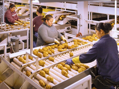 Image: Shutterstock Image: Shutterstock