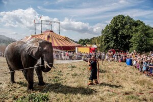  Elephants of Cirkus Arena are being hosed down by local firefighters during a hot summer day in Gilleleje, Denmark.<br />                                                