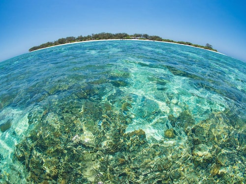  <p><strong>A fisheye view of the Great Barrier Reef Marine Park, Australia</strong><br />The earliest known photosynthesising marine fossil we have record of goes back 3.5 billion years. The ocean was producing oxygen for billions of years before that. Early in our planet&rsquos history, the atmosphere had almost no oxygen. Oxygen generated as a byproduct by photosynthesising microbes eventually built up in the atmosphere, drastically changing our planet&rsquos environment and the history of life in the process.</p>