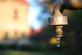 Sustainable Practices: Engaging Consumers and Suppliers