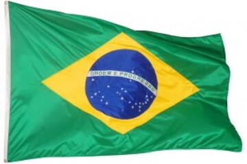 What Brazil Teaches About Investor Protection