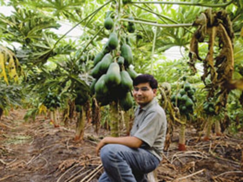 How did Gujarat Become a Farming Paradise?