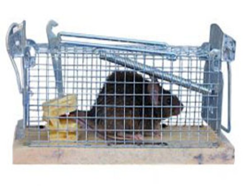 Marketing Means Building a Better Mousetrap