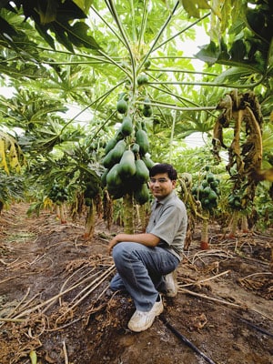 How did Gujarat Become a Farming Paradise?