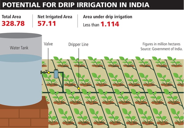 mg_34652_irrigation_280x210.jpg