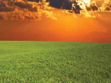 Growing Green Proves a Challenge for Foster Wheeler Amid Downturn