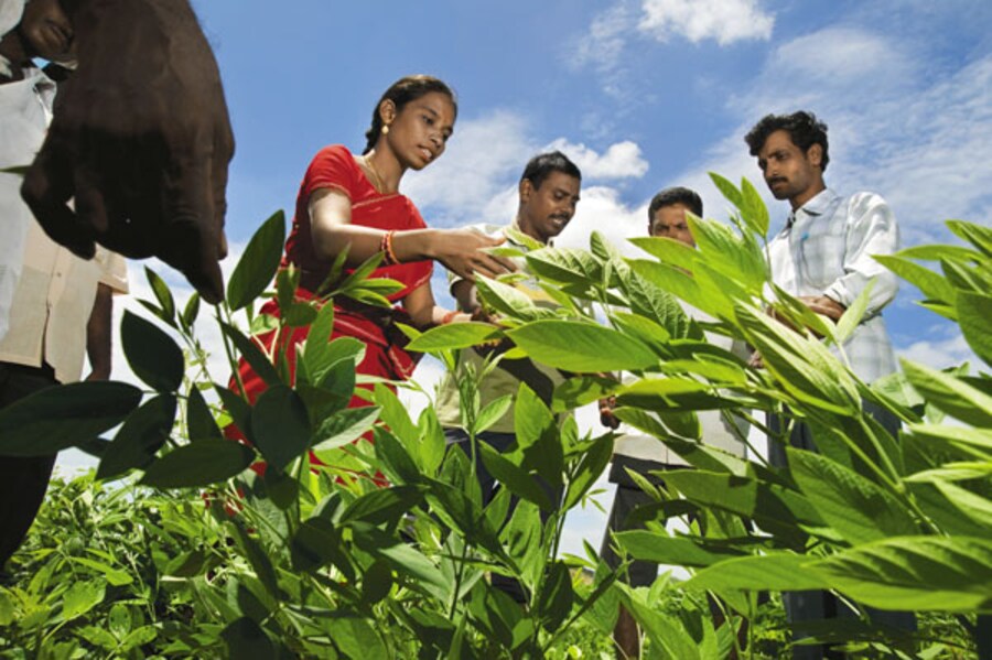 Back To The Roots For Andhra Pradesh Farmers