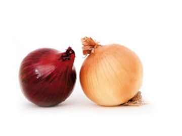 Know Your Onions