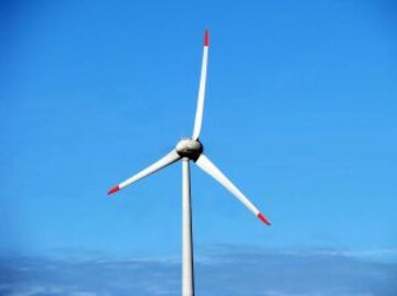 Betting On The Wind