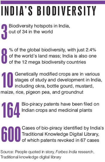 mg_57892_biodeiversity_280x210.jpg