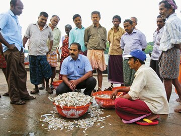 A Kochi Company Satisfies Delhi's Seafood cravings