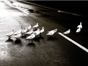 What Every Successful Leader Knows About The Chicken And The Egg
