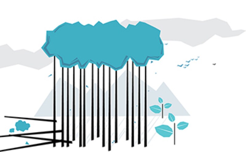 Measuring the Global Forest Cover