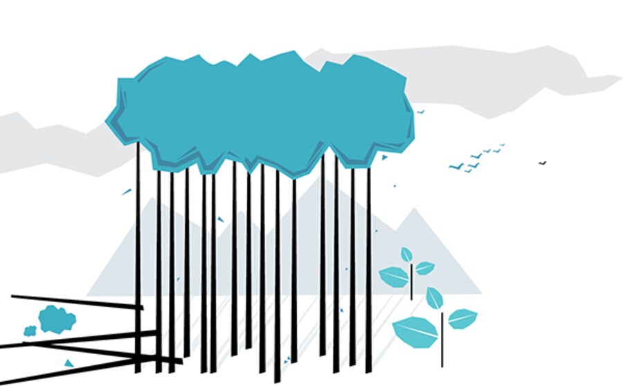 Measuring the Global Forest Cover