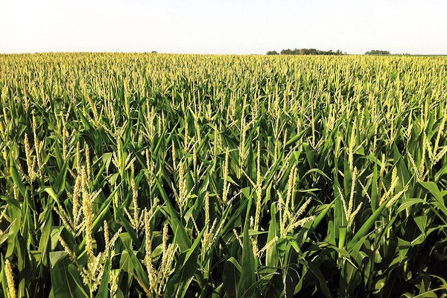 Harry Stine Is Revolutionising US Agriculture. Again