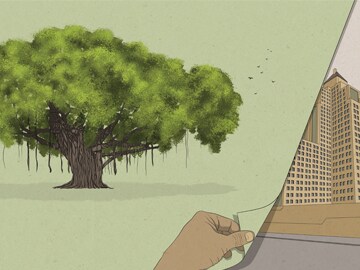 National Tree: Banyan