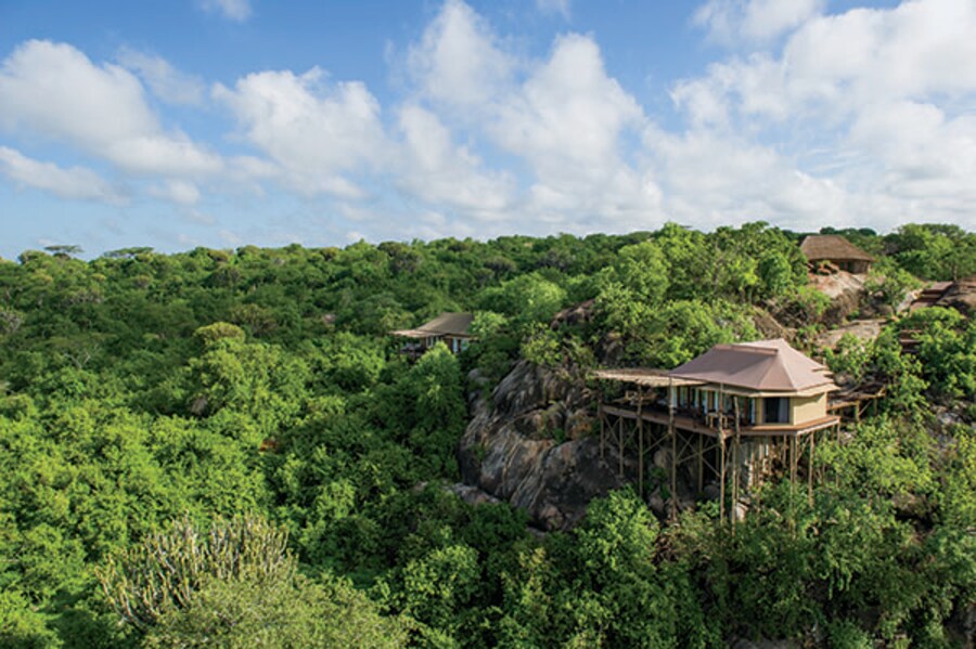 Tanzania's Mwiba Lodge: Where luxury and wildlife meet