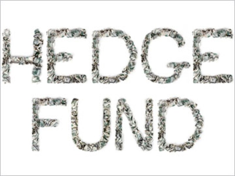 Hedge Hogs