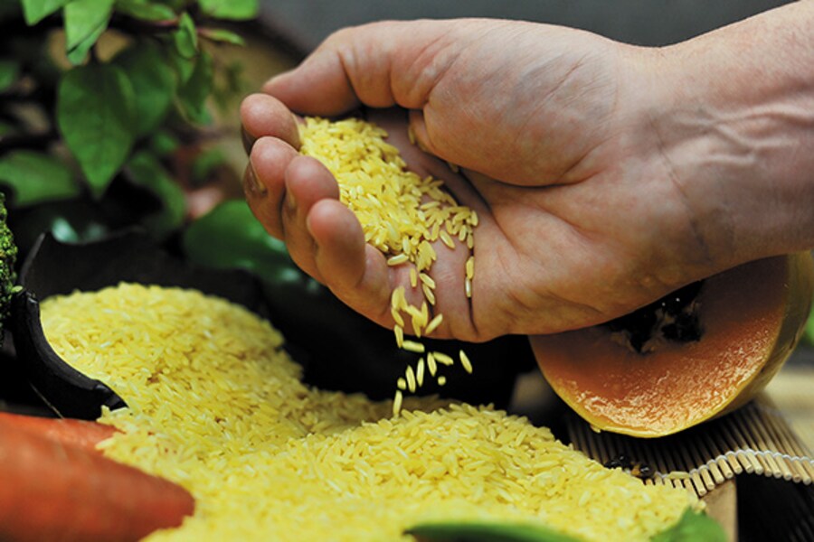 Can a Hungry World Say No to GM Crops and Still Have Food Security?