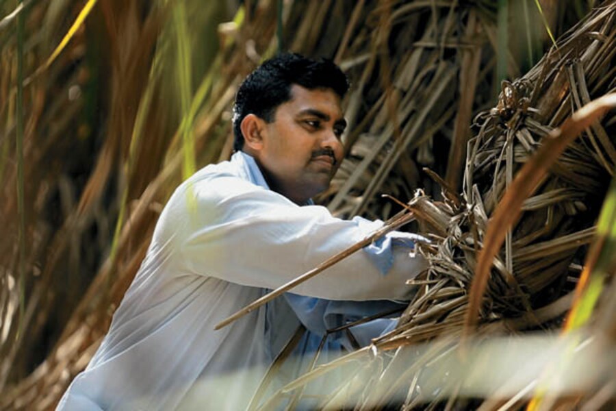 A Pilot Project to Increase UP's Sugarcane Yields