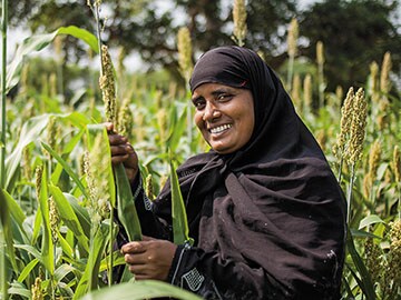Andhra's Pesticide-Free Farming: An Inconclusive Experiment