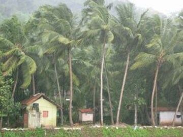 El Nino: Reading the Wind and the Waves