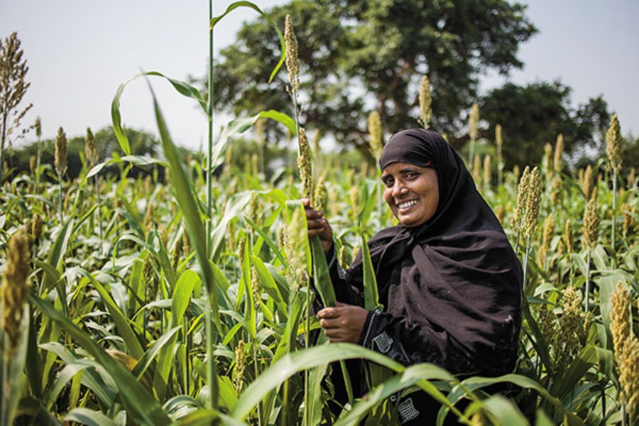 Andhra's Pesticide-Free Farming: An Inconclusive Experiment