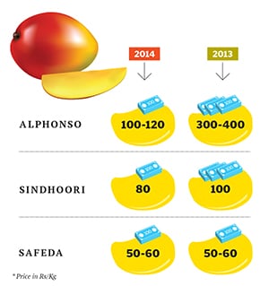 mg_75874_mango_prices_280x210.jpg