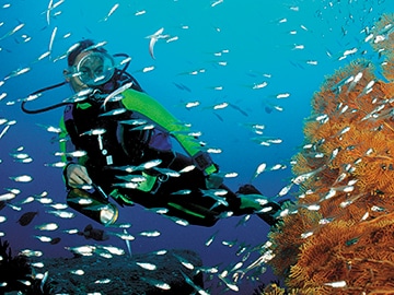 Eat, sleep, dive, repeat: The water world off Thailand