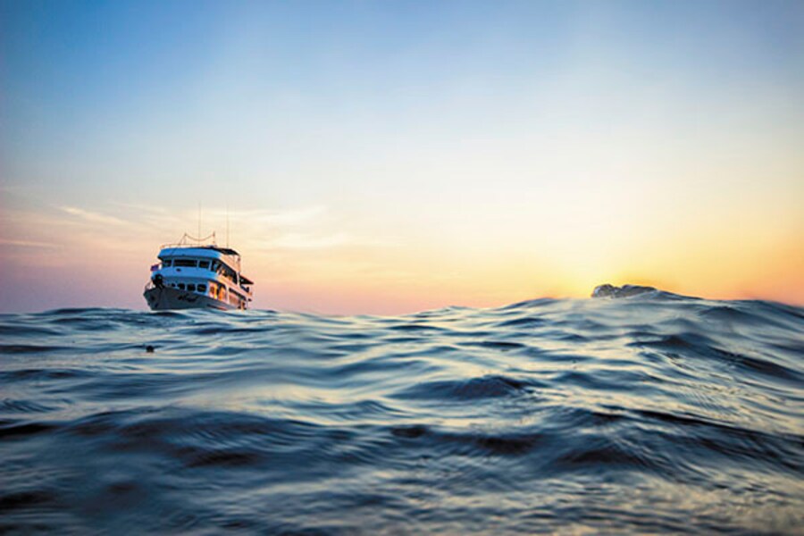 Eat, sleep, dive, repeat: The water world off Thailand